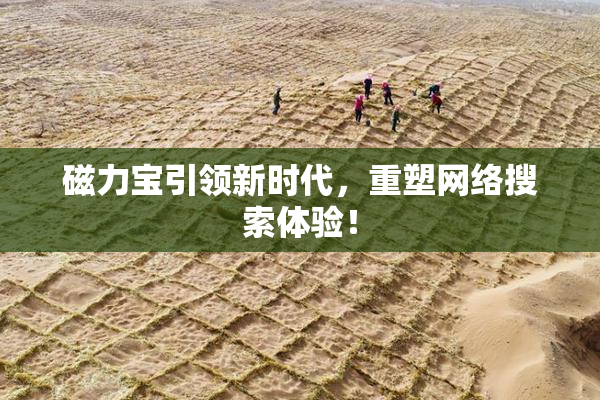 磁力宝引领新时代，重塑网络搜索体验！