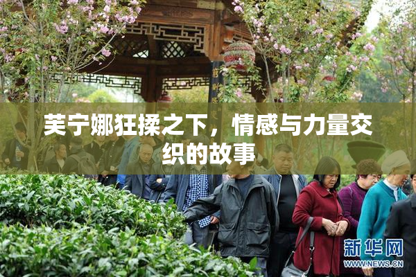 芙宁娜狂揉之下，情感与力量交织的故事
