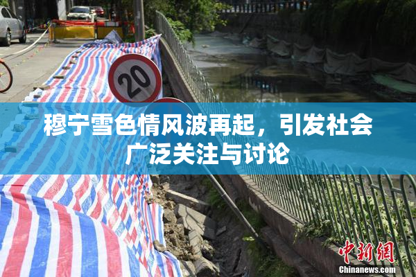 穆宁雪色情风波再起，引发社会广泛关注与讨论