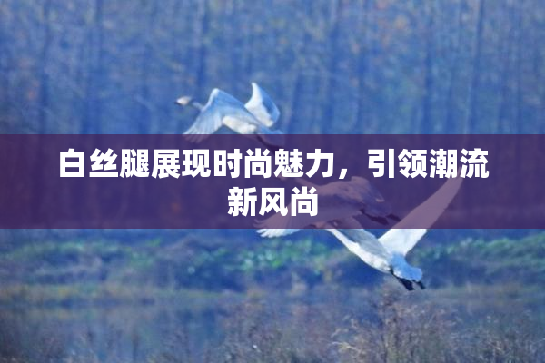 白丝腿展现时尚魅力，引领潮流新风尚