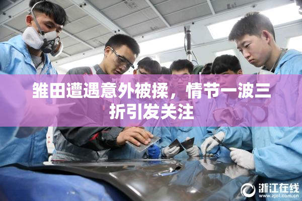 雏田遭遇意外被揉，情节一波三折引发关注