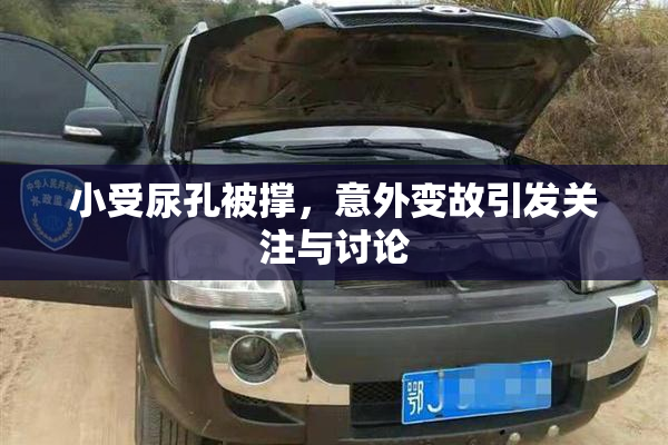 小受尿孔被撑，意外变故引发关注与讨论