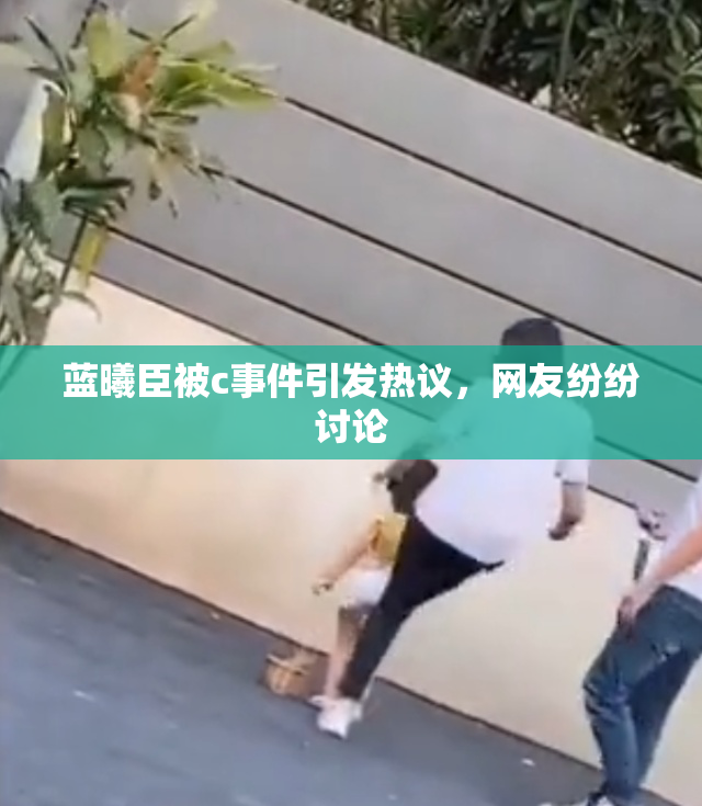 蓝曦臣被c事件引发热议，网友纷纷讨论