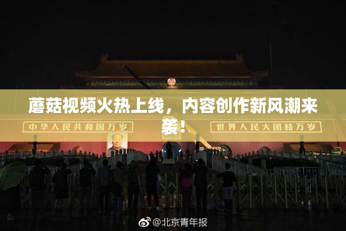 蘑菇视频火热上线，内容创作新风潮来袭！