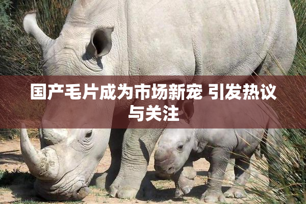 国产毛片成为市场新宠 引发热议与关注