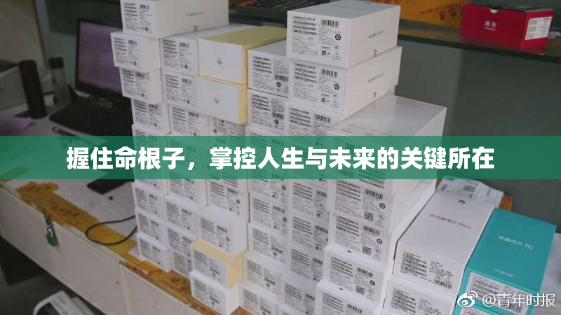 握住命根子，掌控人生与未来的关键所在