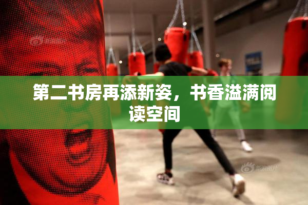 第二书房再添新姿，书香溢满阅读空间
