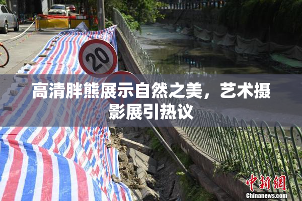 高清胖熊展示自然之美，艺术摄影展引热议