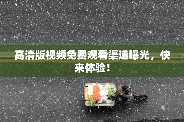 高清版视频免费观看渠道曝光，快来体验！