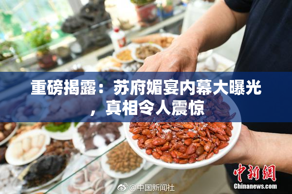 重磅揭露：苏府媚宴内幕大曝光，真相令人震惊