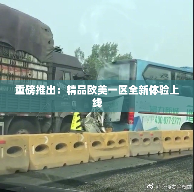 重磅推出：精品欧美一区全新体验上线