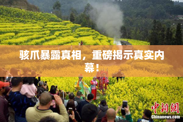 骇爪暴露真相，重磅揭示真实内幕！