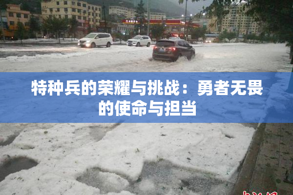 特种兵的荣耀与挑战：勇者无畏的使命与担当
