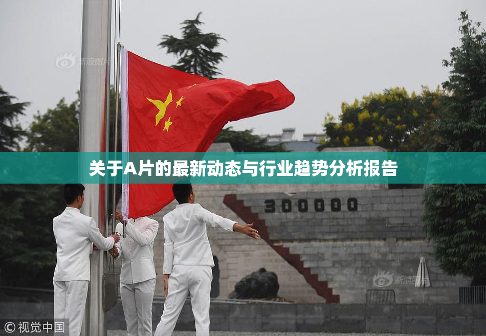 关于A片的最新动态与行业趋势分析报告