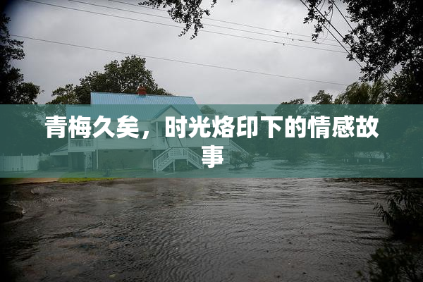 青梅久矣，时光烙印下的情感故事