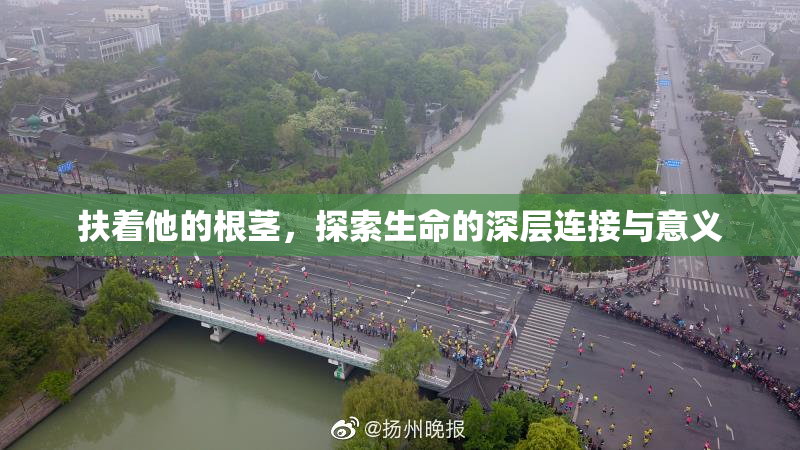 扶着他的根茎，探索生命的深层连接与意义