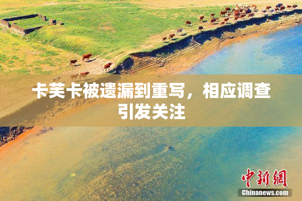 卡芙卡被遗漏到重写，相应调查引发关注