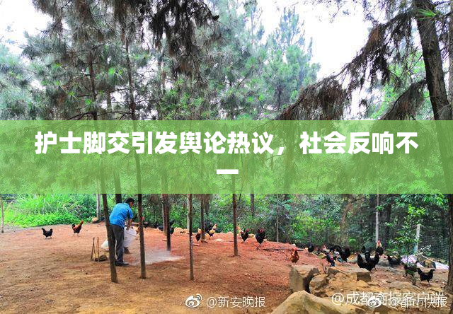 护士脚交引发舆论热议，社会反响不一