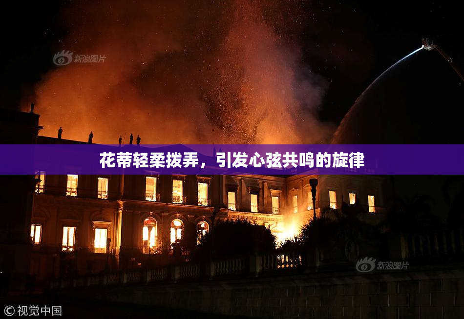 花蒂轻柔拨弄，引发心弦共鸣的旋律