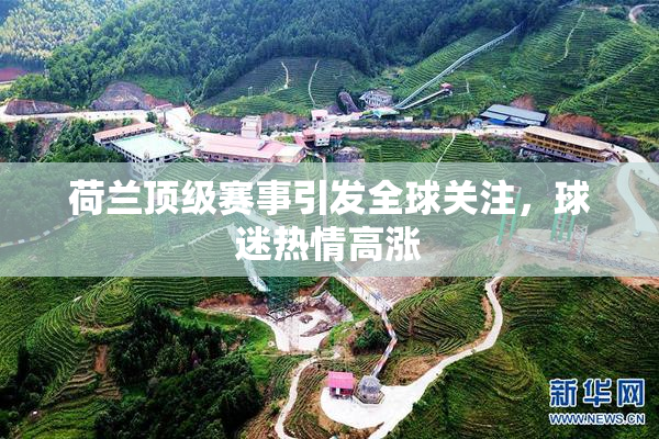 荷兰顶级赛事引发全球关注，球迷热情高涨