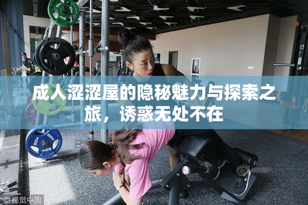 成人涩涩屋的隐秘魅力与探索之旅，诱惑无处不在