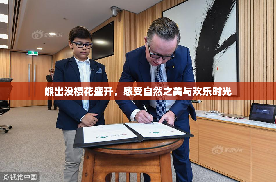熊出没樱花盛开，感受自然之美与欢乐时光
