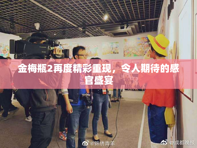 金梅瓶2再度精彩重现，令人期待的感官盛宴