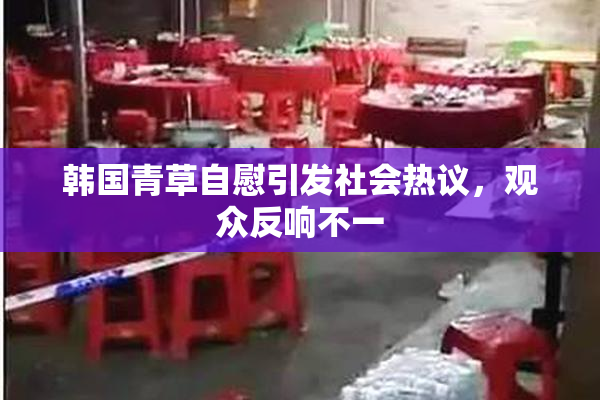 韩国青草自慰引发社会热议，观众反响不一