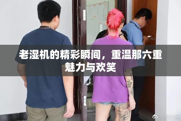 老湿机的精彩瞬间，重温那六重魅力与欢笑