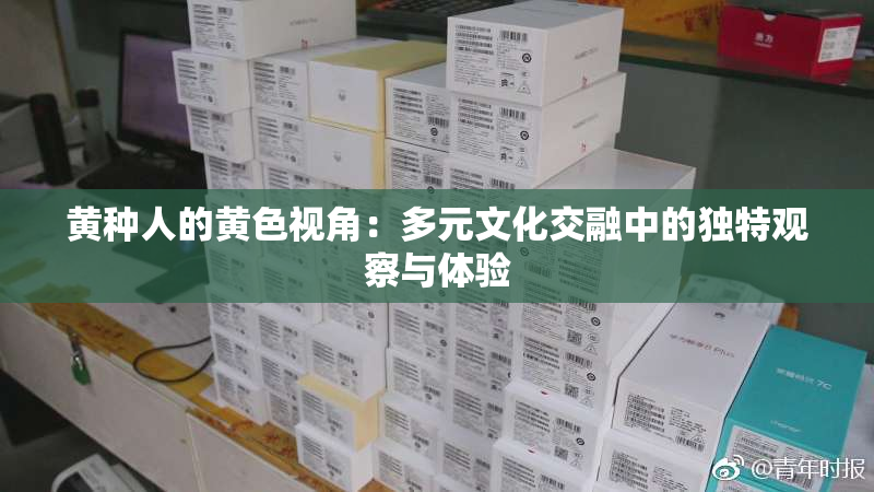 黄种人的黄色视角：多元文化交融中的独特观察与体验