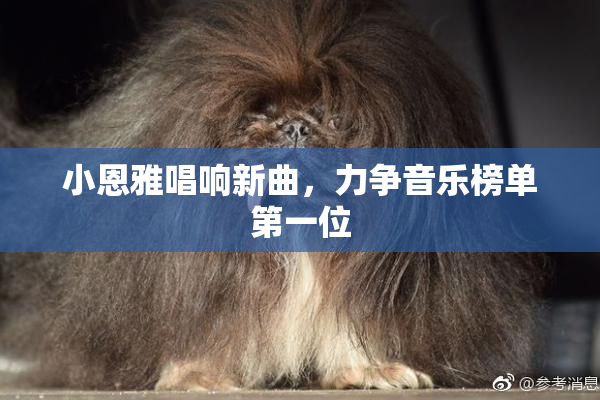 小恩雅唱响新曲，力争音乐榜单第一位