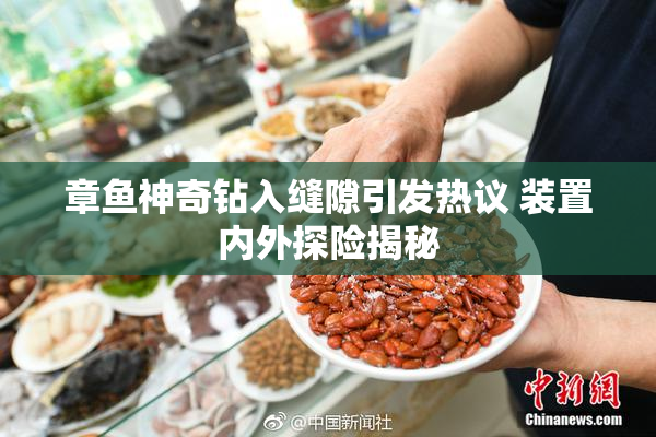 章鱼神奇钻入缝隙引发热议 装置内外探险揭秘