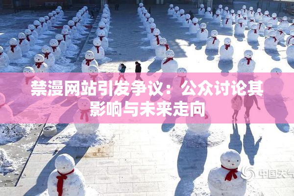禁漫网站引发争议：公众讨论其影响与未来走向