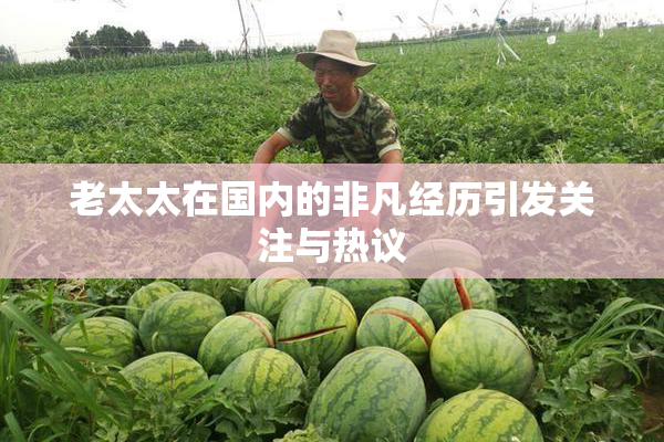 老太太在国内的非凡经历引发关注与热议