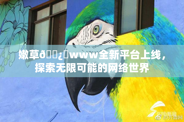 嫩草🌿‌www全新平台上线，探索无限可能的网络世界