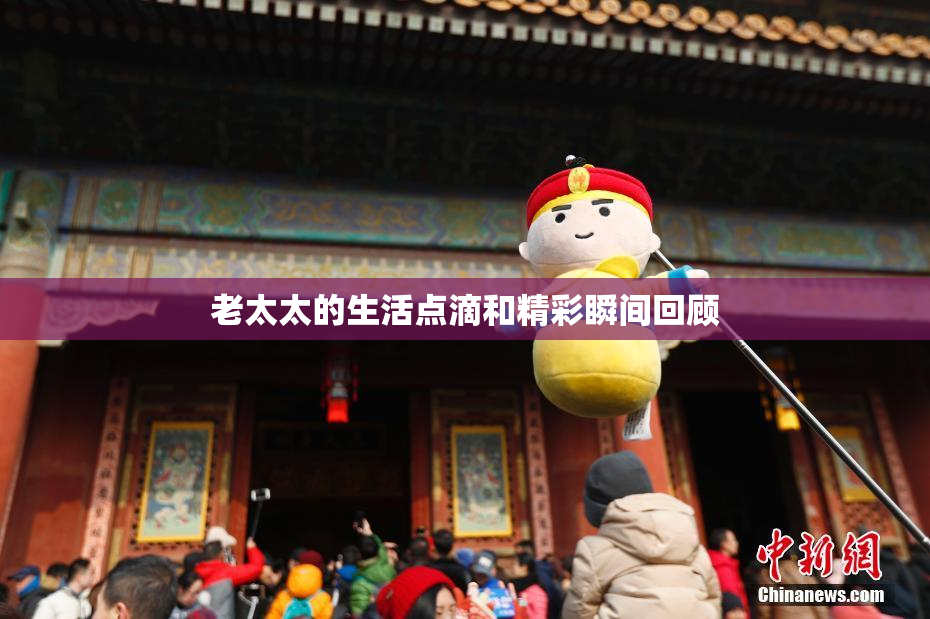 老太太的生活点滴和精彩瞬间回顾