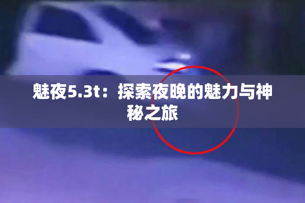 魅夜5.3t：探索夜晚的魅力与神秘之旅