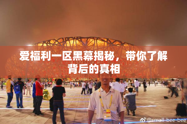 爱福利一区黑幕揭秘，带你了解背后的真相