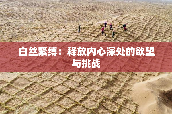 白丝紧缚：释放内心深处的欲望与挑战