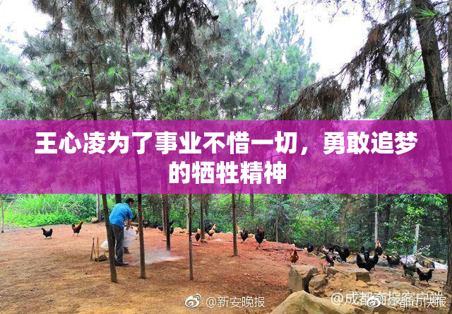 王心凌为了事业不惜一切，勇敢追梦的牺牲精神
