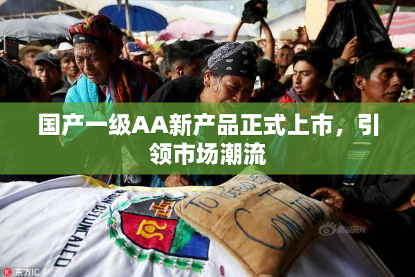 国产一级AA新产品正式上市，引领市场潮流