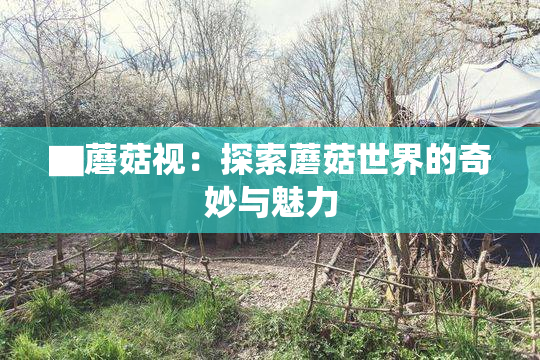 ▇蘑菇视：探索蘑菇世界的奇妙与魅力