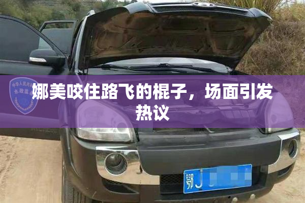娜美咬住路飞的棍子，场面引发热议