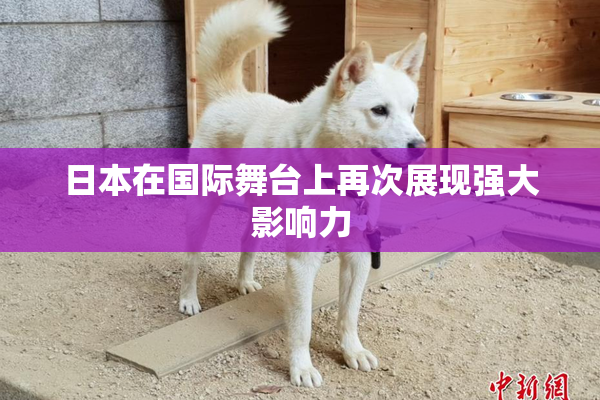 日本在国际舞台上再次展现强大影响力