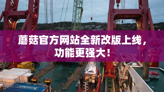 蘑菇官方网站全新改版上线，功能更强大！