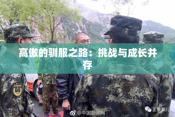 高傲的驯服之路：挑战与成长并存