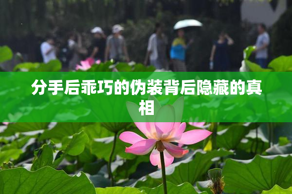 分手后乖巧的伪装背后隐藏的真相