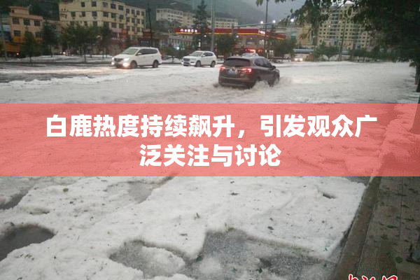 白鹿热度持续飙升，引发观众广泛关注与讨论