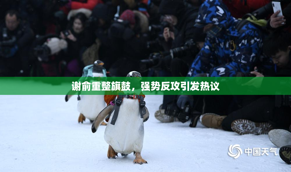 谢俞重整旗鼓，强势反攻引发热议