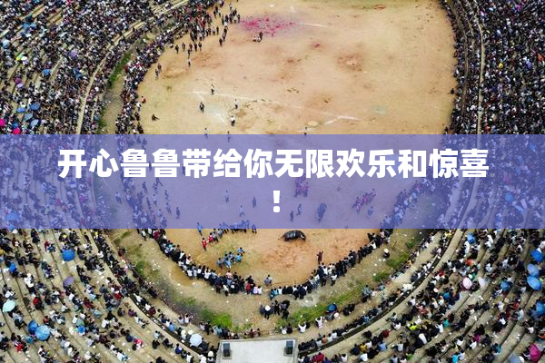 开心鲁鲁带给你无限欢乐和惊喜！